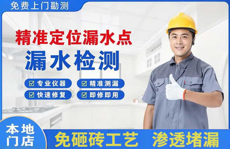 天等精准测漏点